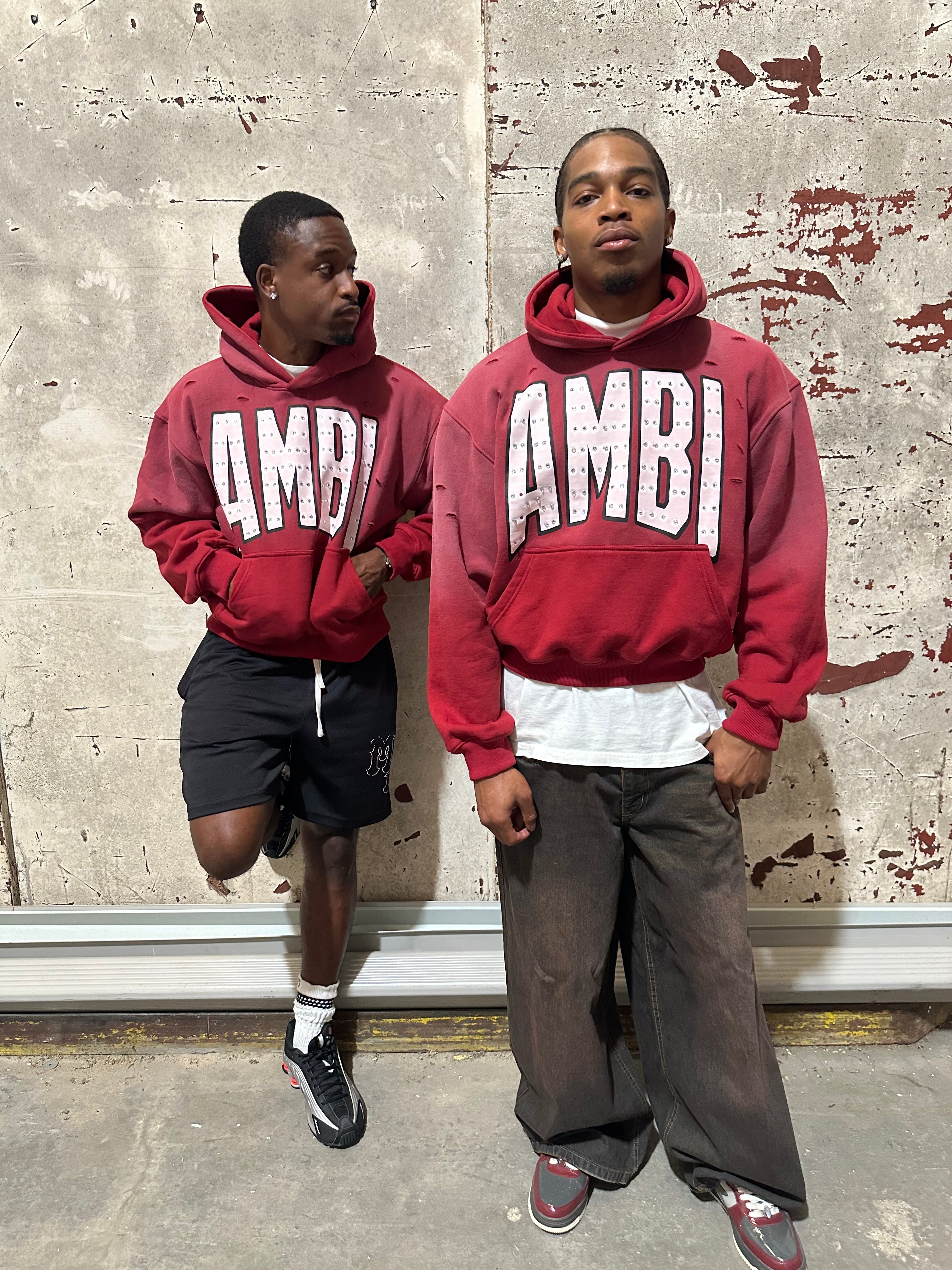 “AMBI|VERT Eclipse ” Burgundy